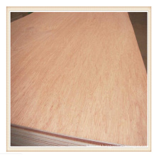 Raw Furniture Plywood with Good Quality